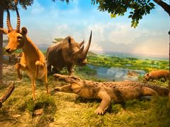 -国家自然博物馆