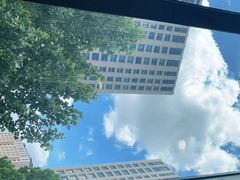 -食神鱼头佛跳墙(百子湾旗舰店)