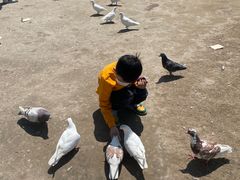 -南通洲际绿博园