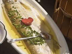 -上海1号私藏菜(黄浦店)