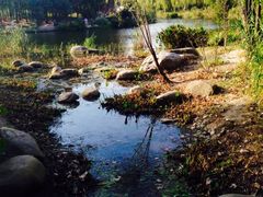 iphone_upload_pic-新江湾城公园