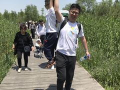 -溱湖国家湿地公园