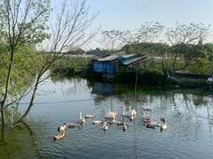 -美家乐农庄·露营·团建(大治路店)