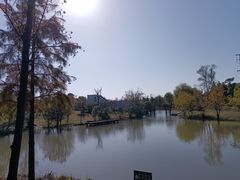 -上海长兴岛郊野公园