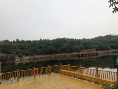-中国西峡恐龙遗迹园