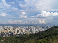 -长虫山生态公园风景林
