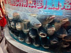 -魏铭鱼头捞饭(晋阳路店)