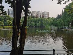 -深圳龙潭公园