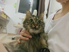 -北京恒爱动物医院(清景园分院)