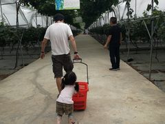 -金谷域澳洲庄园