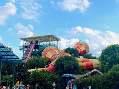 -苏州乐园森林水世界