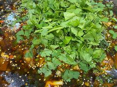 -乐山第一家临江鳝丝(茶坊路店)