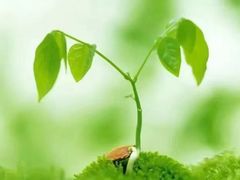 -宝岛眼镜·星创视光中心(百联世纪购物中心店)