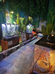 点击看大图 -酷嗒动物文化乐园(cutezoo西溪乐天城店)