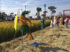 -梁鸿国家湿地公园