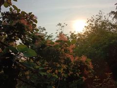 -南翠屏公园