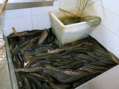 -都江堰石锅鱼