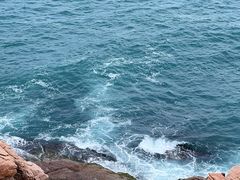 -广东惠东海龟国家级自然保护区