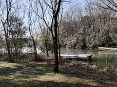 -昆山城市生态森林公园