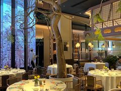 -桂满陇·海市蜃楼·黑金(国金店)