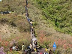 -大围山国家森林公园