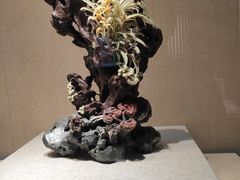-浙江省博物馆(孤山馆区)