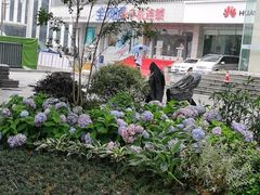 -中国电信(武林广场营业厅)