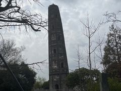 -上海佘山国家森林公园天马山园