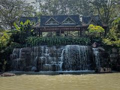 -中国科学院西双版纳热带植物园