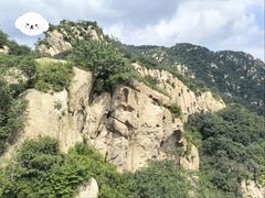 -大岭沟猕猴桃谷风景区