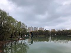 -昆山城市生态森林公园