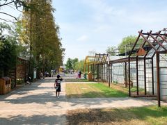 -前小桔亲子创意农场·草莓采摘·露营烧烤