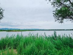 -野鸭湖国家湿地公园