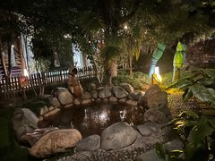 -张家港金凤凰度假村温泉