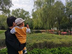 -石家庄市动物园