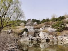 -北京西山国家森林公园