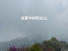 -阳台山森林公园