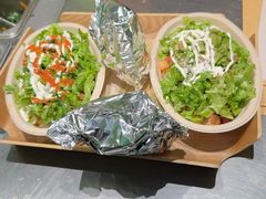 -油梨树AVOCADO TREE(顺义新国展店)