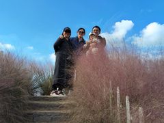 -嘉北郊野公园