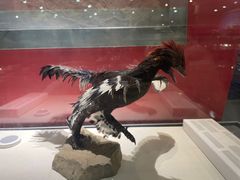 -国家自然博物馆