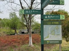-阳澄湖半岛旅游度假区