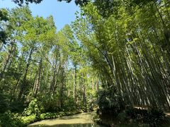 -同里国家湿地公园