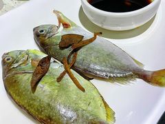 -青蓬蒸汽海鲜·深圳老字号·团建聚会(壹方城店)