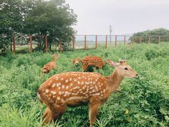 -良渚古城遗址公园
