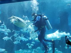 -北戴河圣蓝海洋公园