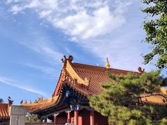 -大召无量寺