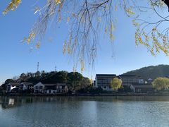 -鲁镇
