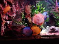 -上海海洋水族馆