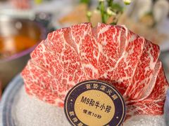 -喜聚薈·花膠雞海鮮火鍋(越秀店)