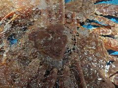 -徐记海鲜(南油永新汇店)